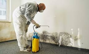 Mold Odor Removal Services in Rochester Institute Of Technology, NY