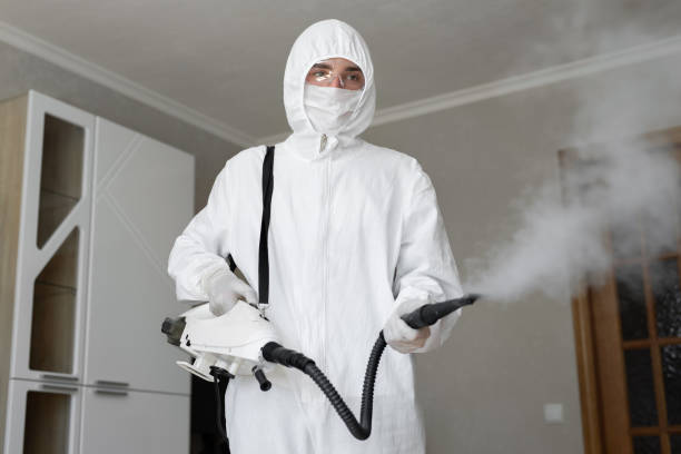 Why You Should Choose Our Mold Remediation Services in Rochester Institute Of Technology, NY